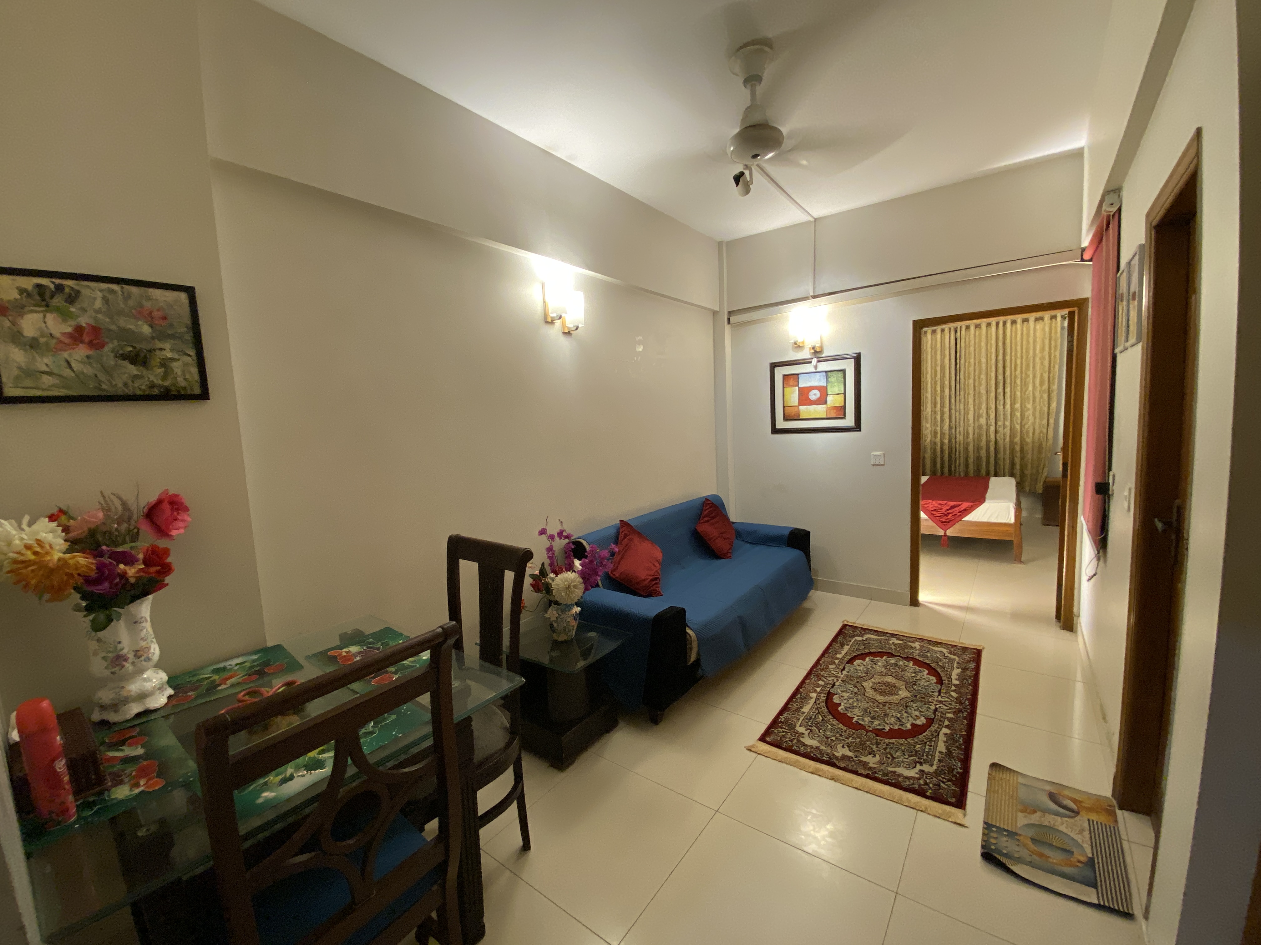 Comfortable Sofa Setup