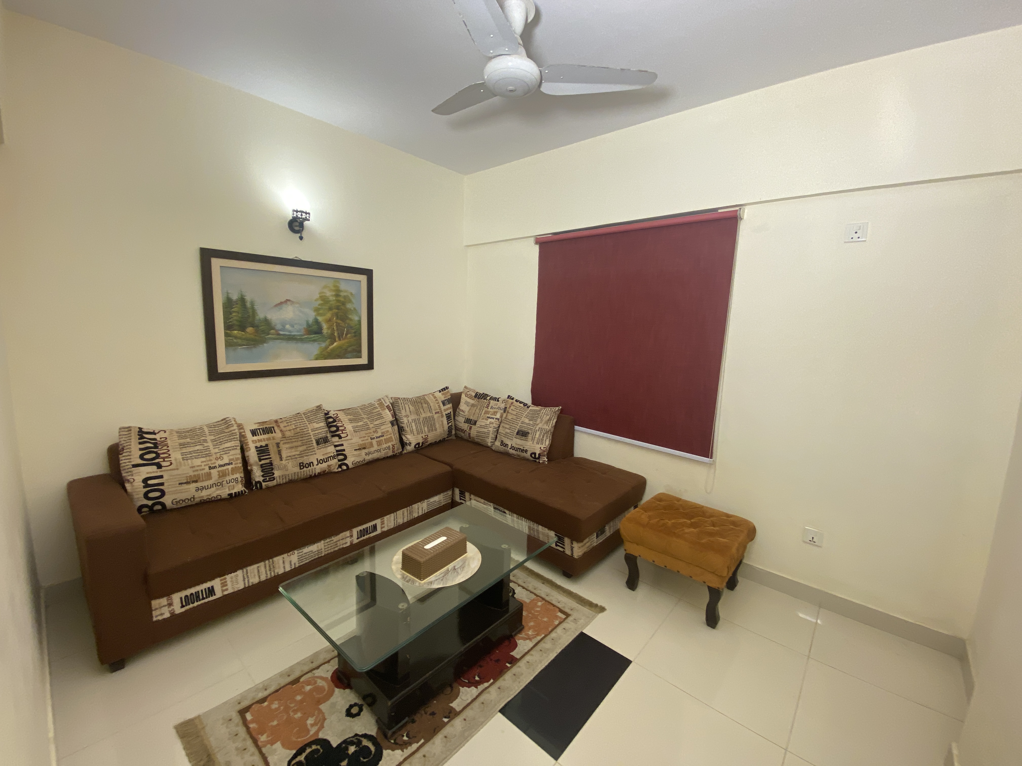 Comfortable Sofa Setup